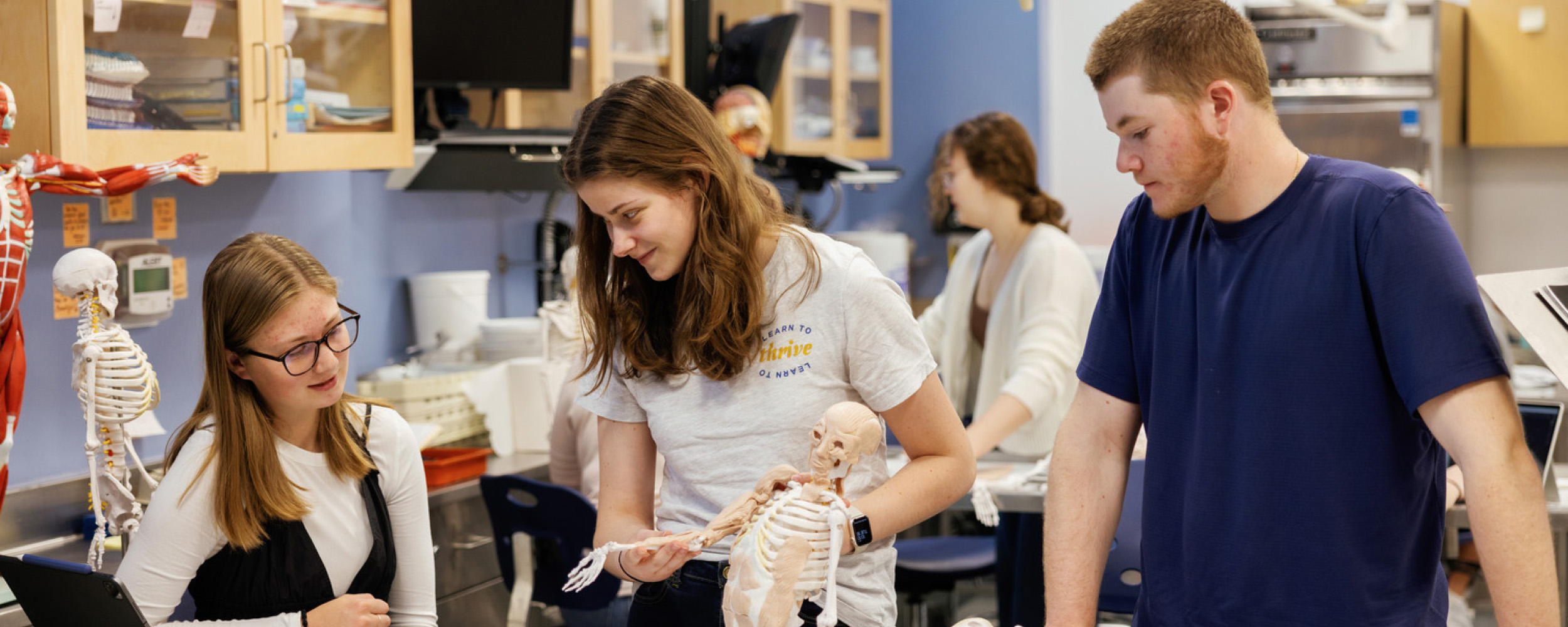 students in human anatomy lab working with skeleton