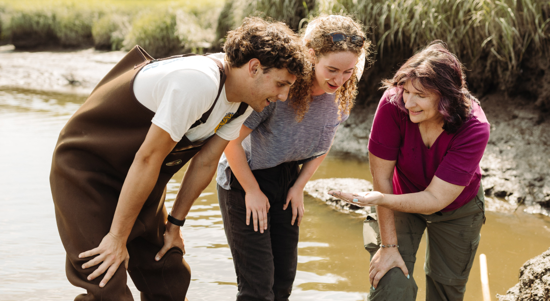 biology students in wetlands